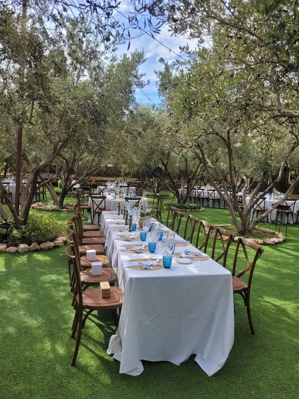 Una mesa larga vestida de blanco bajo los olivos, con vasos azules y sillas de madera