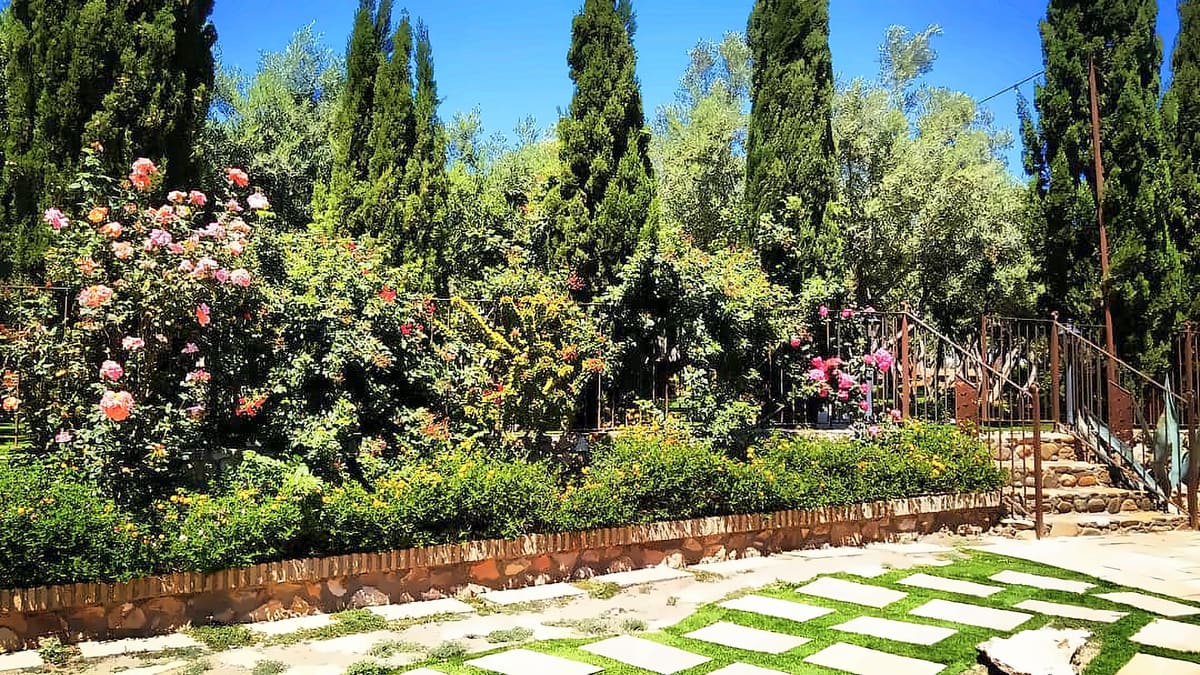 Rosales, cipreses y olivos junto a la escalera de piedra de Finca Lomamour, bajo un cielo azul